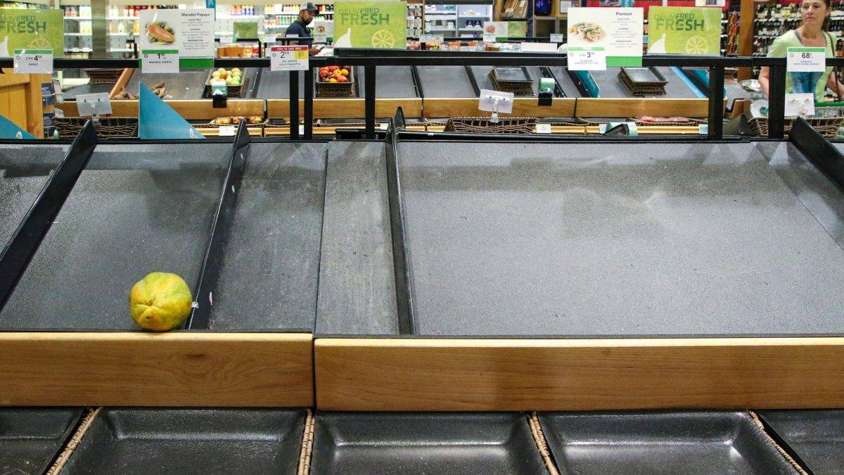 virus-super-Haupt-US|alimento del campo